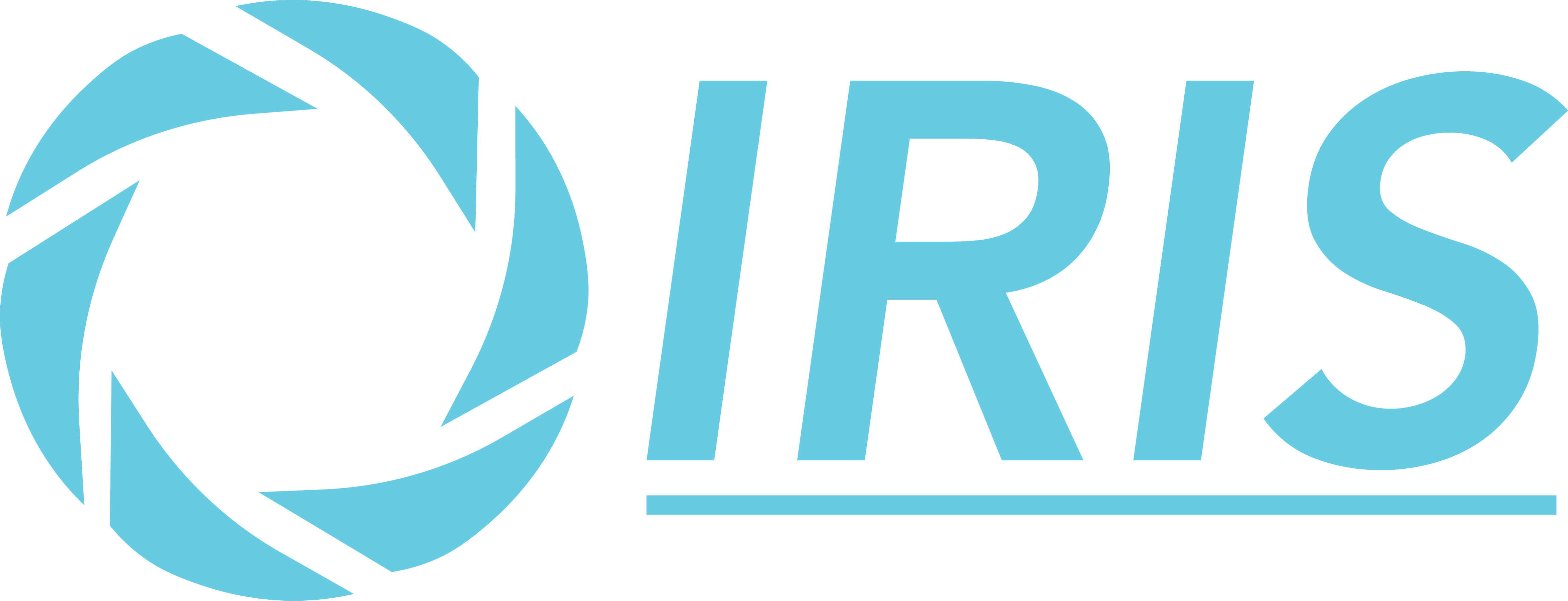 Iris by BirdEye